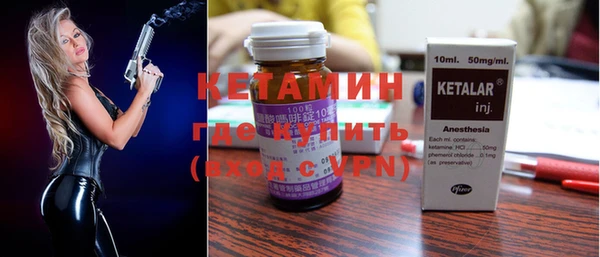 индика Вяземский
