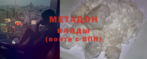 индика Вяземский
