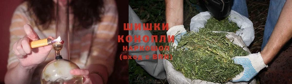 ALPHA PVP Горнозаводск