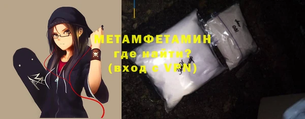 твердый Гусев