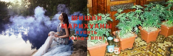 экстази Горняк
