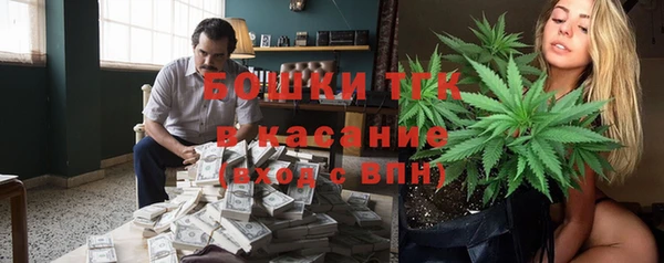 соль ск Горно-Алтайск