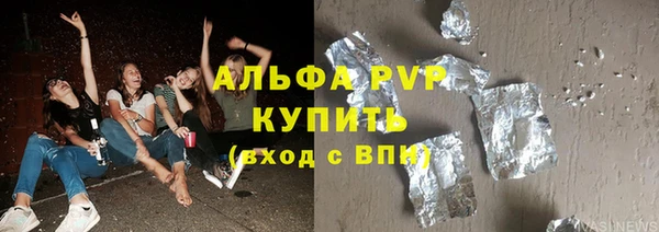 твердый Гусев
