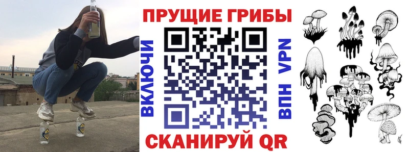 Псилоцибиновые грибы Psilocybine cubensis  где можно купить   Ейск 